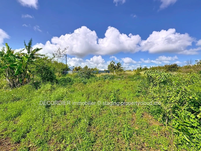 Invest in the future: Agricultural land with approved project (Sole Mandate)