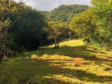 Terrain