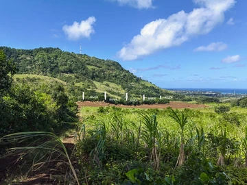 Agricultural Land