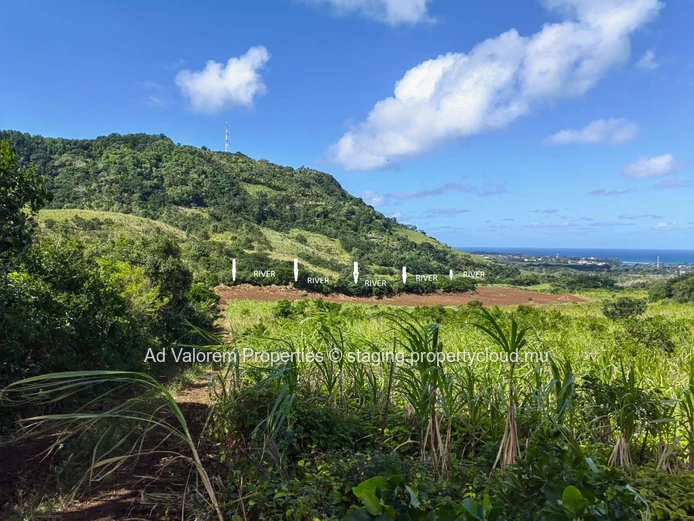 Grand Terrain Agricole à Vendre – Martinière, Surinam – Vue Panoramique & Cadre Naturel