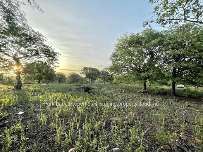 Opportunité D’Investissement Stratégique – Terrain De 1 213 m² En Pleine Propriété à Rivière Noire
