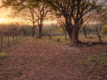 Residential Land