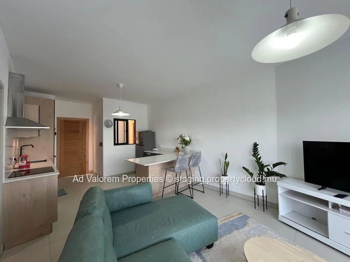 1-Bedroom Apartment for Rent in Telfair Views