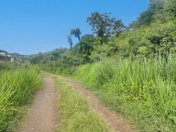 Land