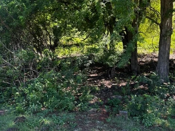 Residential Land