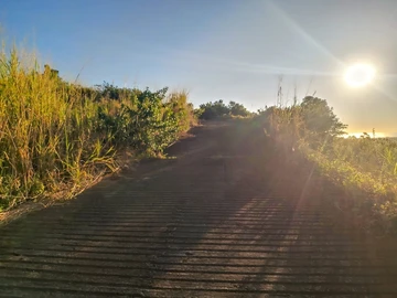 Land