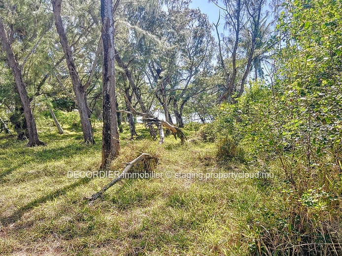 À Vendre Poste Lafayette Terrain Constructible