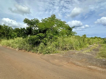 Terrain