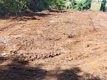 Agricultural Land