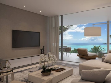 3 Bedroom Penthouse
