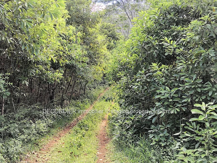 Terrain agricole de 464.62 arpents en vente de Quartier de la savanne à Chamarel