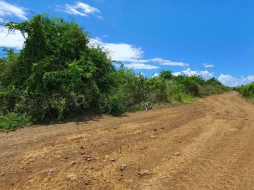 Terrain Agricole