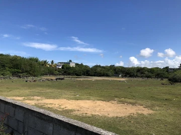 Land