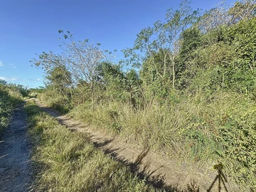 Terrain
