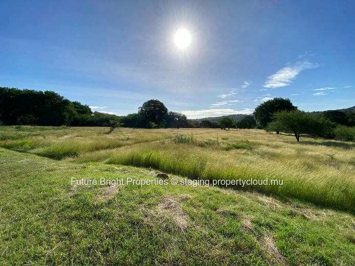 Premium Residential Plot for Sale – Domaine de Palmyre, Petite Rivière Noire (Sole Mandate)