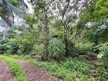Agricultural Land