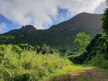 Residential Land
