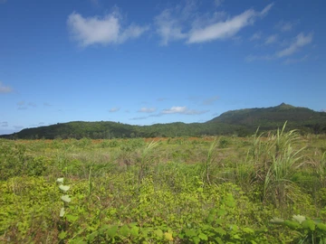 Terrain Résidentiel