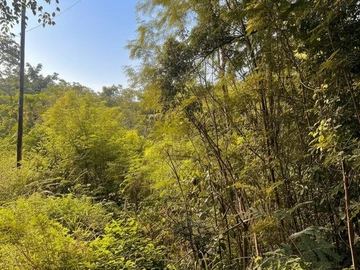 Residential Land