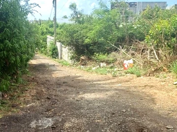 Terrain