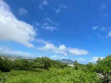 Agricultural Land
