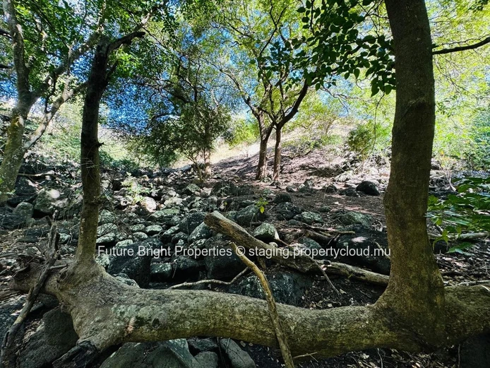 Superbe Terrain à Vendre dans le Domaine TEREMINALIA – Morcellement Belouguet