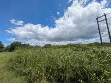 Agricultural Land