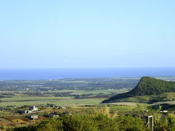 Agricultural Land