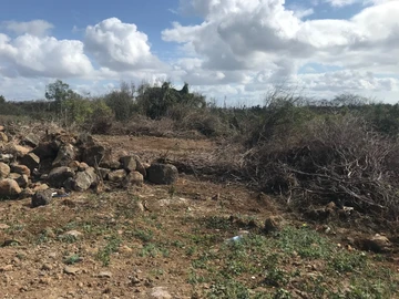 Residential Land