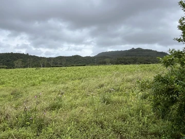 Terrain Résidentiel