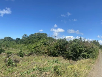 Terrain Agricole
