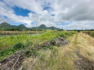 Agricultural Land