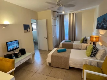 3 Bedroom Penthouse