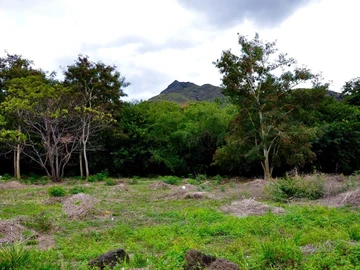 Residential Land