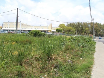 Commercial Land