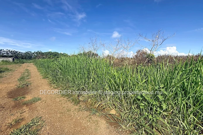 Residential Land for Sale – Grand Gaube