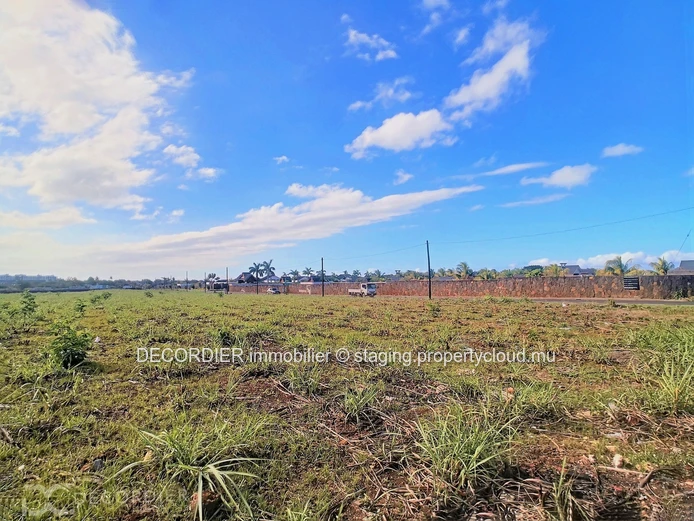 Magnificent land for real estate development / investor