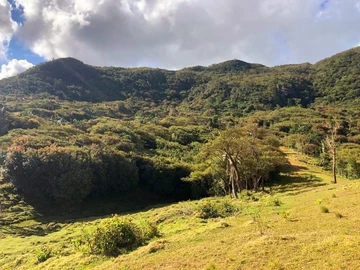 Terrain