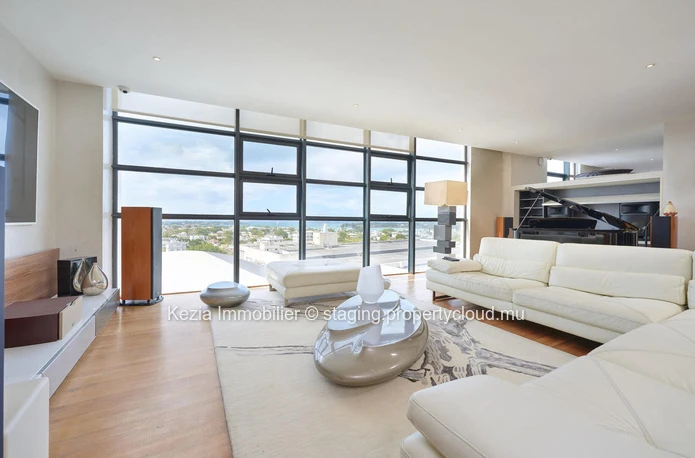 Luxury Penthouse