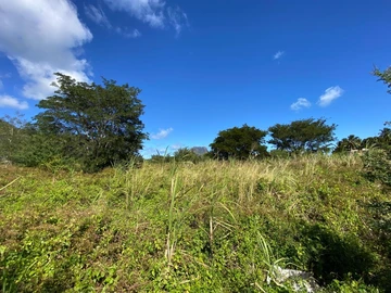 Residential Land