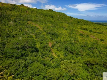 Agricultural Land