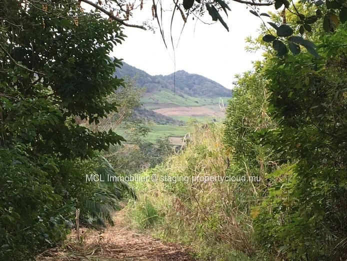 Terrain agricole de 9 arpents 42 perches  à Anse Jonchée