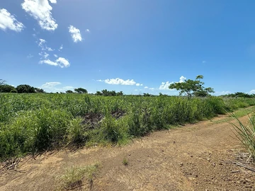 Terrain