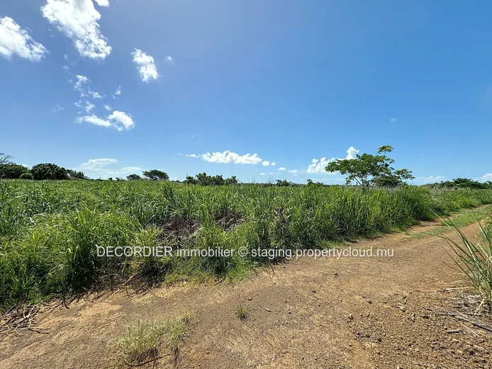 Terrain agricole en conversion résidentielle