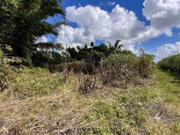 Agricultural Land