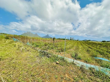 Agricultural Land