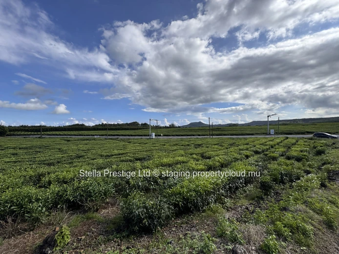 Opportunité Rare : Terrain de 1 055 m² de Premier Choix à Vendre à Bois Chérie – 2.8 Millions de roupies Seulement !