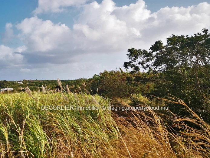 For sale agricultural land of 3.5 acre - Mont Mascal - Grand Bay