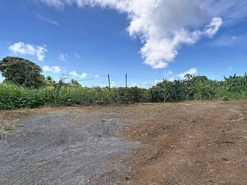 Terrain