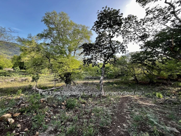 For Sale – 1,163 m² Residential Plot In Petite Rivière Noire